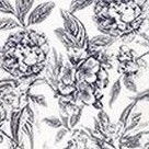 line drawing