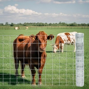 Farm Livestock Fence 4Ft x 164Ft Agricultural Fencing for Yard, Heavy Duty Cattle Fence, Galvanized Welded Wire Fence for Animals and Field Protection - 1 of 4