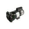 Waterway Plastics 3712021-1D 5 hp 230V 1-Speed Executive 56 Frame 2" Complete - 2 of 4