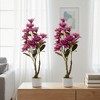 EcoSummer 2 Pack 37" Artificial Magnolia Tree with Pink Flowers and Green Leaves, Indoor Potted Faux Magnolia Plant for Home Office Decor - 2 of 4