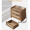 COZONY 2-Piece Wicker Nightstand Set with Type-C Charging Station, Boho Bedside Table with 2 Drawers for Bedroom - 3 of 3