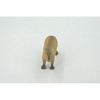 Collectible Wildlife Gifts | Capybara, Giant Cavy Rodent, Nutria, Baby, High Quality, Hand Painted, Rubber Animal, Toy, Gift,   2 1/2"   CH693 BB173 - 4 of 4