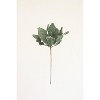 Flexible Faux Floral Stem – 20" Tall Green Botanical Accent by Kalalou - 4 of 4