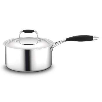 Hexclad 3 Quart Hybrid Stainless Steel Pot Saucepan With Glass Lid - Easy  To Clean : Target