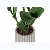 Vynxaria Artificial Plant, 20" Tall, Zz, Indoor, Faux, Fake, Table, Greenery, Potted, Real Touch, Decorative, Green Leaves, Grey Cement Pot - 2 of 4