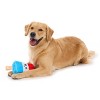 BARK Summer Big Shake Lake Rocky Pop Dog Plush Toy - 3 of 4