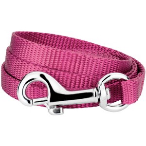 Country Brook Petz - Nylon Dog Leash (3/8 Inch Wide) - 1 of 3