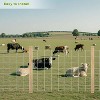 TROPOW 5FT x 164FT Heavy Zinc Coated Farm Fence | Galvanized Livestock Fencing for Goats, Cattle, Hogs | Gradient Mesh Design Stops Rabbits/Dogs - 3 of 4