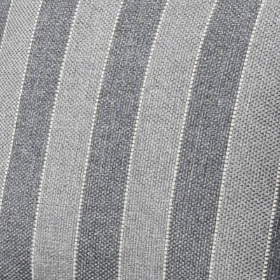 Gray Striped