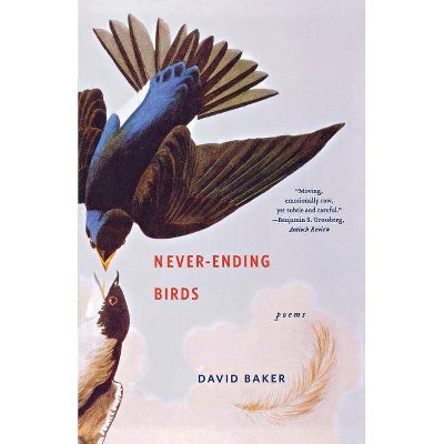 Never-Ending Birds - by  David Baker (Paperback)