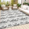 Indoor Outdoor Area Rug  Geometric Rug Non Slip Washable Rug Floor Carpet for Living Room Dining Room Kitchen Backyard Porch - 2 of 4