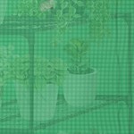 green/clear pe