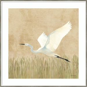 33" x 33" Egret Alighting II by Kathrine Lovell Wood Framed Wall Art Print - Amanti Art: Traditional Style, Animal Lithograph, Hardwood Frame - 1 of 4