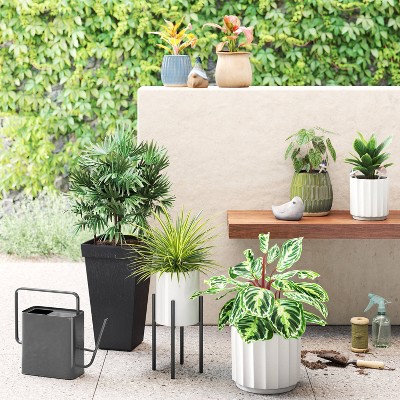 2gal Iron Rectangle Outdoor Watering Can with Powder Coat Finish Gray - Threshold&#8482;_2