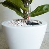 XINGHANZHENXUAN White 2-Pack Plastic Planter Pots, Wood-Look Design for Indoor, Outdoor Plants - 4 of 4