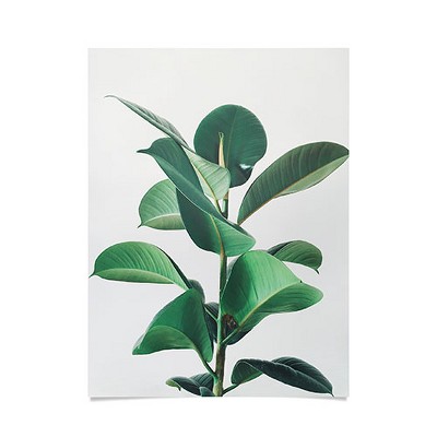Cassia Beck Rubber Fig 18" x 24" Unframed Poster - Society6