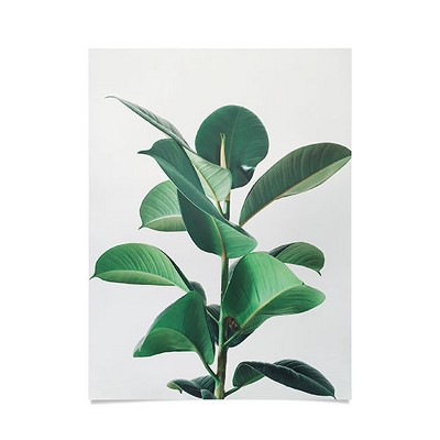 Cassia Beck Rubber Fig 18" x 24" Unframed Poster - Society6