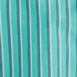 mint stripe
