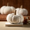 6.25"H  6.25"H & 7.75"H Sullivans Boho Cream Plush Pumpkin Set of 3  Cream - 3 of 4