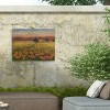 "Poppy Path To Home I" Outdoor Canvas - 4 of 4