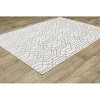 Oriental Weavers Montecito 4158W White/ Grey Indoor Area Rug - 2'3" x 7'6" - 4 of 4