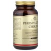 Solgar Phosphatidyl Choline, 100 Softgels (420 mg per Softgel) - 4 of 4