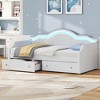 Twin Size Upholstered Daybed with LED and 3 Drawers for Bedroom or Guest Room - 2 of 4