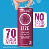 IZZE Sparkling Juice Beverage Blend, Blackberry, No Sugar Added, 8.4 FL OZ, 24 Cans - 3 of 4