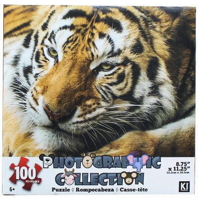 Toynk Painting Dog 100 Piece Juvenile Collection Jigsaw Puzzle