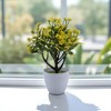 Unique Bargains Artificial Plants Coin Chrysanthemum with Round Pot Plastic 3.15"x3.15"x9.45" 1 Pc - 2 of 4