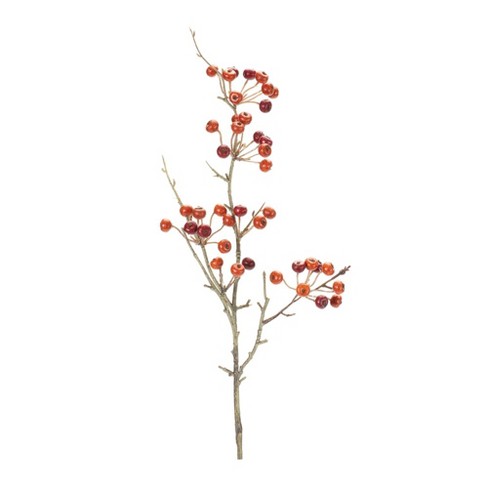 Melrose International Foxtail and Pod Spray (Set of 12) main image 0