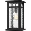 Quoizel Lighting Moira 1 - Light Pendant in  Earth Black - 4 of 4