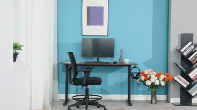 48'' Brown Adjustable Height Standing Desk with Electric Lift and Memory Function