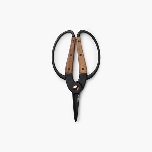 Barebones Garden Scissors - 1 of 4