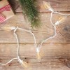 Northlight 25 Count Warm White LED C9 Christmas Lights, 16 ft White Wire - 2 of 3