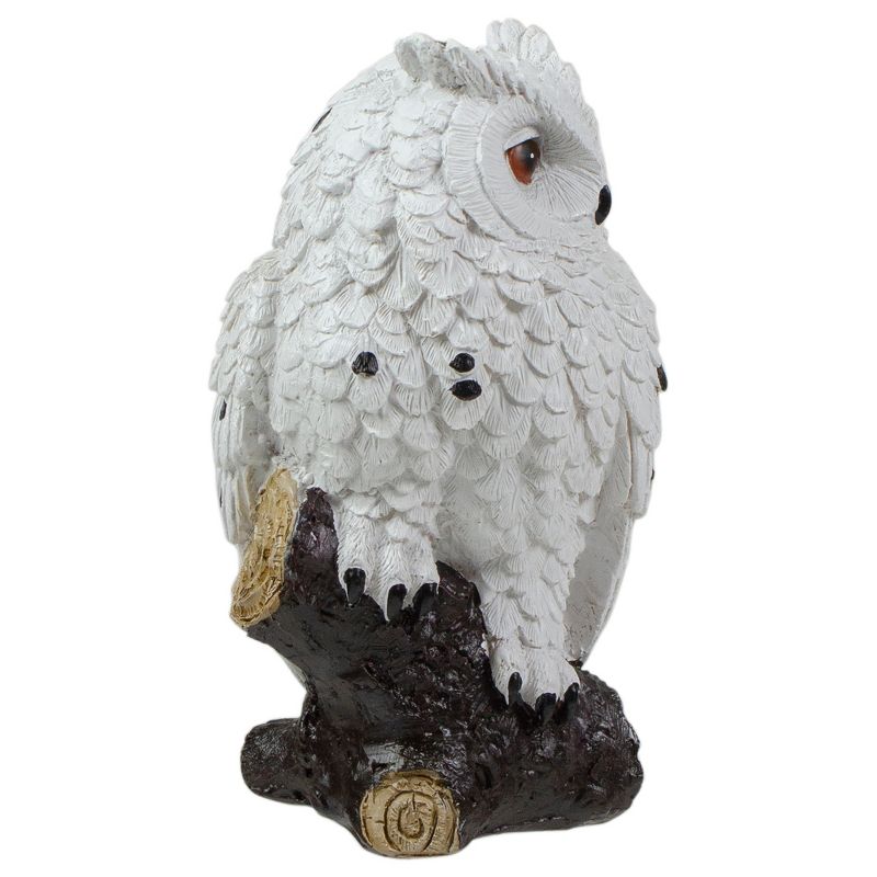 Northlight 6" White Owl Perched on a Branch Outdoor Garden Statue, 3 of 7