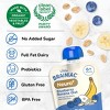 Brainiac Kids Neuro+ Oats and Prebiotics Blueberry Banana Baby Food - 3.5oz - 3 of 4