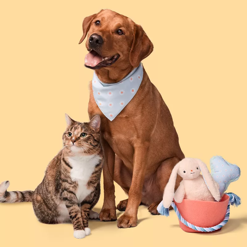 Goody Box: Dog & Cat Toys, Treats & Apparel