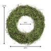 Sullivans Artificial 22" Leafy Green Vine Wreath - 4 of 4