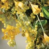 Sullivans Artificial Yellow Wispy Wreath - 2 of 3
