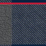 boston red sox