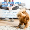Nocciola Wobble Giggle Ball for Dogs,Christmas gift,Interactive Dog Toys for Boredom, Squeaky Ball Dog Toys,Pet Toys for Small Medium Large Dogs - 3 of 4