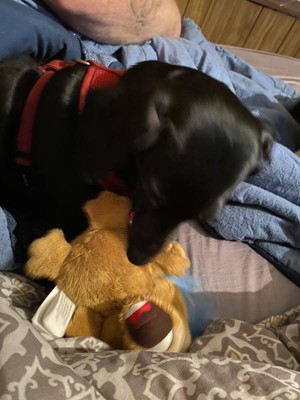 Guest review image 1 of 4, zoom in