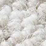 ivory, light taupe, cream