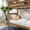 Plank+Beam Solid Wood Twin over Twin Bunk Bed with Ladder for Adults, No Box Spring Needed - 2 of 4