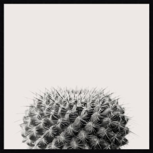 Amanti Art 33"x33" Haze Cactus Succulent by The Creative Bunch Studio Framed Wall Art Print: Modern Botanical Decor - 1 of 4