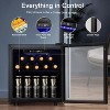 ZAFRO 12 Bottle Cabinet Beverage Refrigerator Mini Fridge Low Noise Clear Glass Door Counter Top Cellar for Beer Soda Bar 1.3 cu.ft Black - 3 of 4