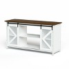 Okak Storage Cabinet with 6 Shelves, Aquarium Stand with Cabinet for Fish Tank Accessories Storage for Living Room, Enterway - 3 of 4