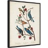 Amanti Art Townsends Warbler by John James Audubon Canvas Wall Art Print Framed 23 x 28-in. - 3 of 4