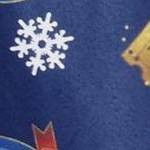 polar express
